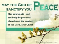 Wilderness Journey - Man’s Nature and Destiny (13)